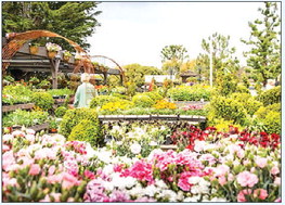 GARDEN CLUB BUS TRIP 
	The ….