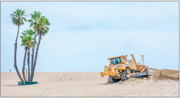 SAND BERM REMOVAL 
	The removal ….