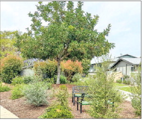 Visit the LW home and garden tour on May 16-17