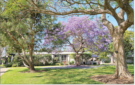 Visit the LW home and garden tour on May 16-17