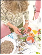 Spring Bazaar:   April 30-May 2