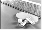 Table Tennis Club