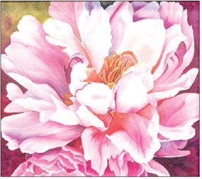 Art League wowed by presentation from noted fine art photographer