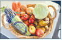 Lions Club   Produce Box   Program