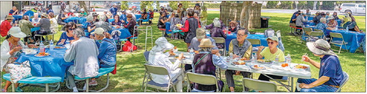 Table Tennis Club picnic party a success with large turnout of members and friends