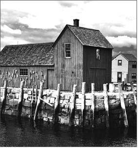 Photo Arts Club: Submit by June 8
