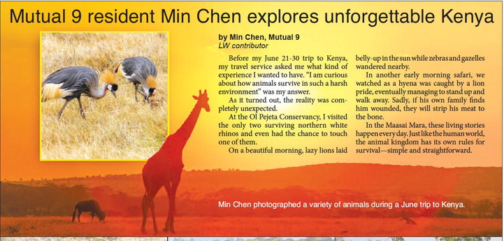 Mutual 9 resident Min Chen explores unforgettable Kenya