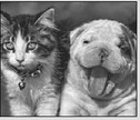 Paws, Claws and Beaks Club