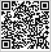 Participate in the LB transit survey
