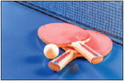 Table Tennis Club