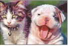 Pets can join the potluck Pets can join the potluck