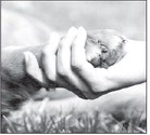 Animal shelter will collect donations