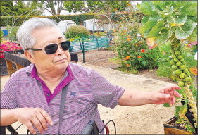 Leasing A Garden Plot