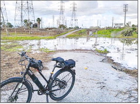LW BICYCLE GROUP 
	The Leisure ….