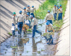 Channel cleanup removes potential mosquito habitat as West Nile cases rise