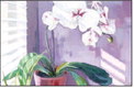 Oil painting demonstration is 
	 ….