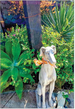GARDEN CLUB: GARDEN OF THE …. GARDEN CLUB: GARDEN OF THE ….